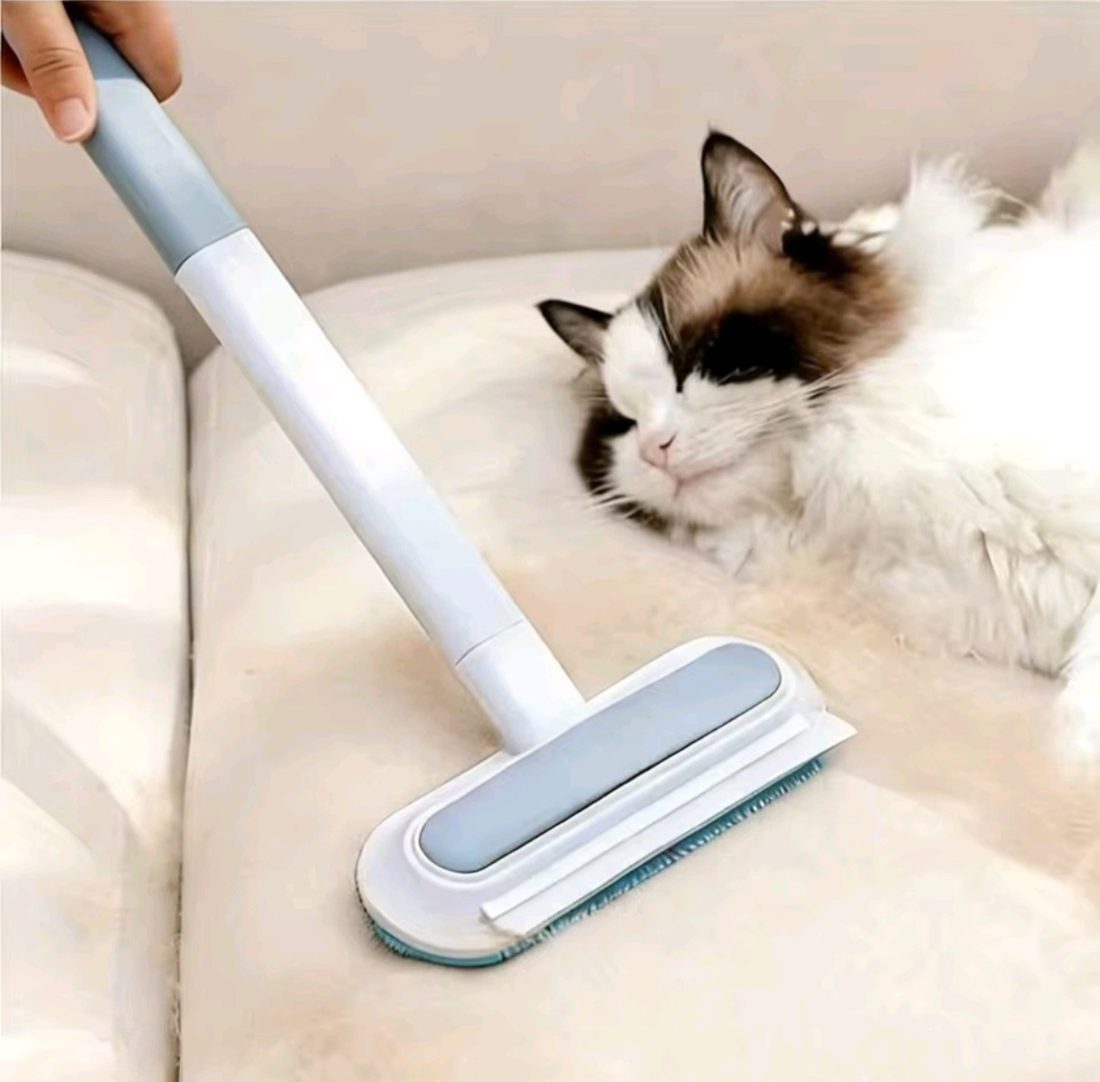 Cat relaxing on a sofa while pet hair is removed