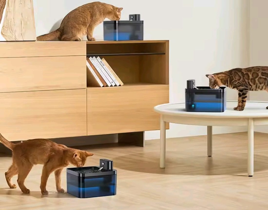 Cats drinking from water fountains