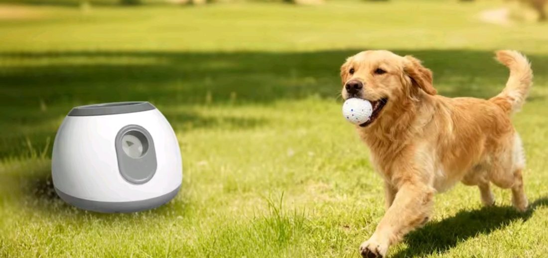 Ball launcher video